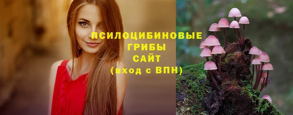 амф Дмитриев