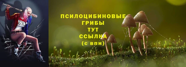 первитин Дмитров