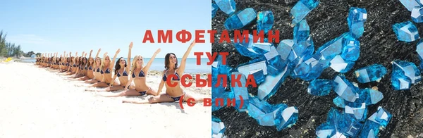 амф Дмитриев