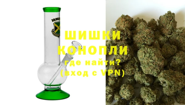 амф Дмитриев