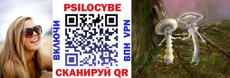 Купить где  Великий Устюг  Псилоцибиновые грибы GOLDEN TEACHER 